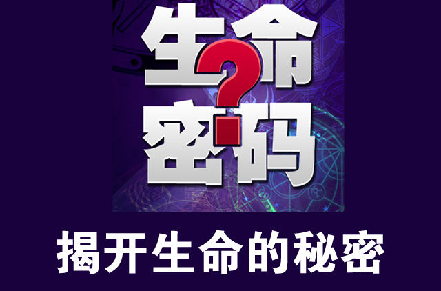 《美好人生"生命密碼"公益沙龙》用生命密码解读孩子的“说明书”