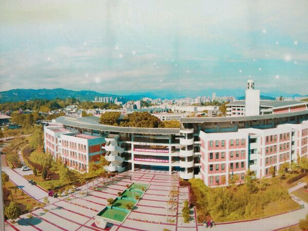 龙岩学院不一样的海洋