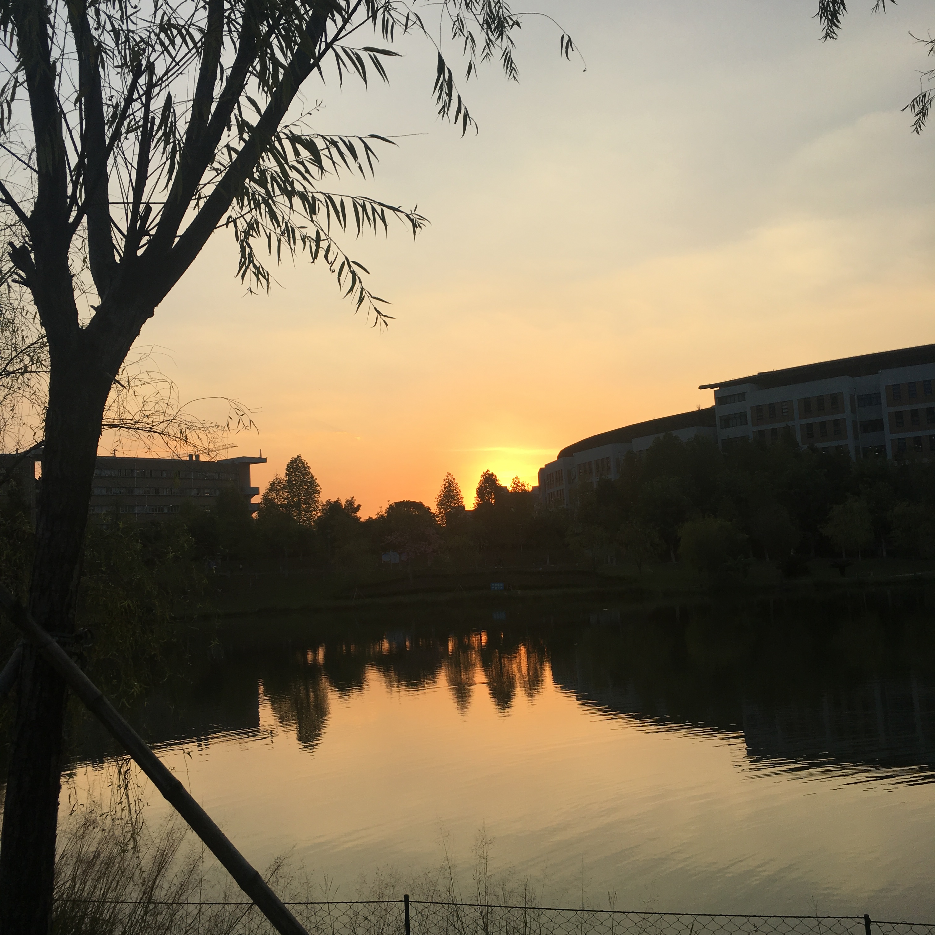 龙岩学院这些美食，我是用鼻子找到的。
