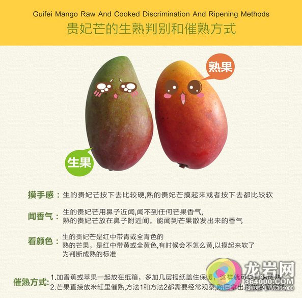 来过海南岛,美食忘不了工房香港厨具芒果图片