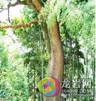 1463531908260402.jpg 640.webp (7).jpg