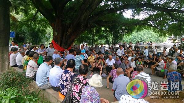 沿河路大榕树下龙岩山歌演唱会,新罗各路山歌