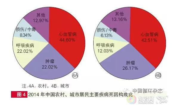 农村人口老龄化原因_人口老龄化